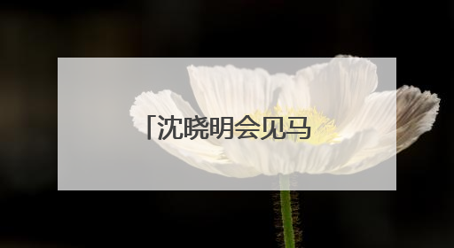 沈晓明会见马达加斯加外交部长拉萨塔一行